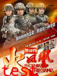 特种兵之火凤凰DVD版