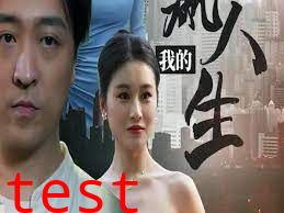 我的巅峰人生